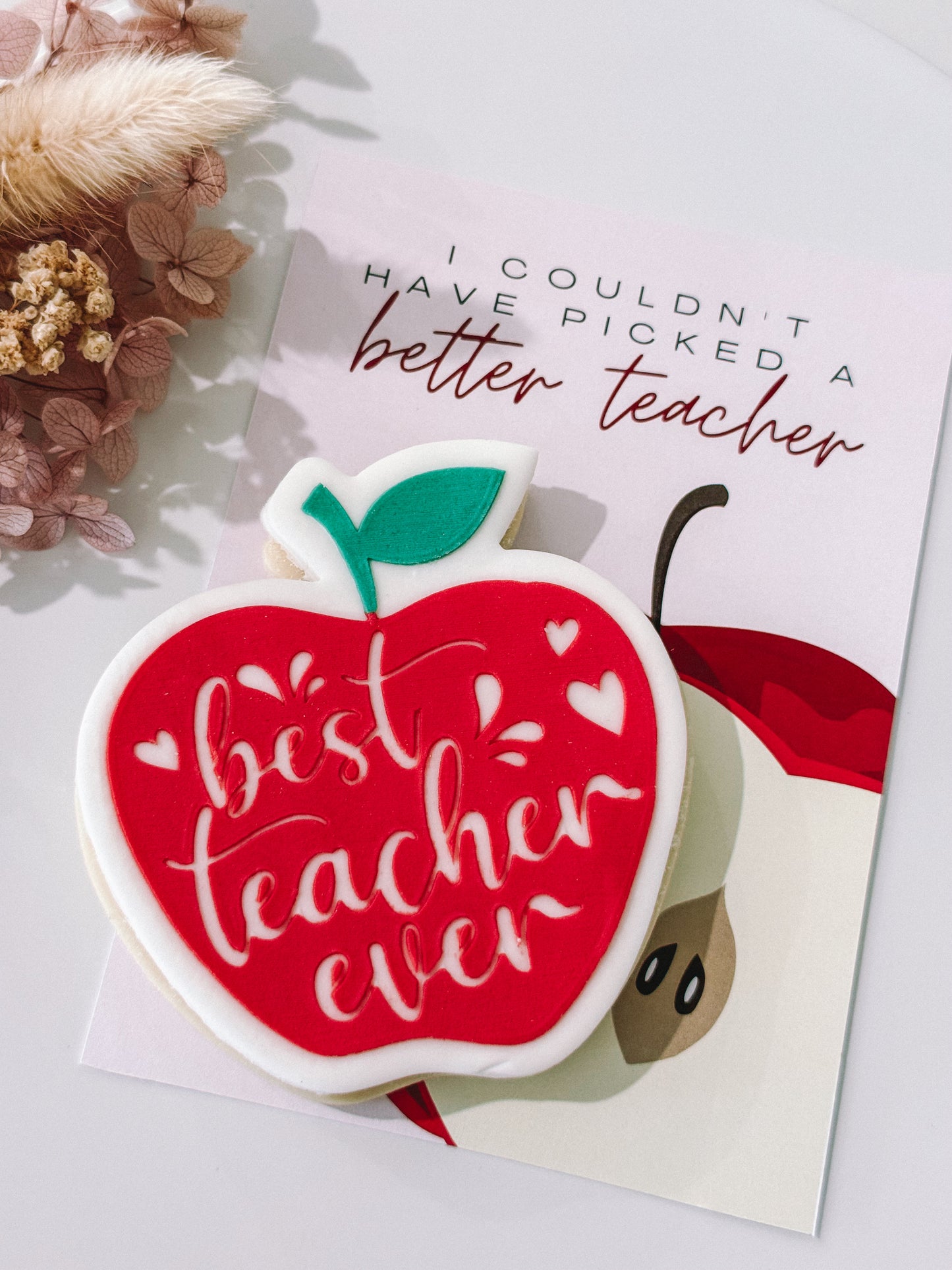 I Couldn't Have Picked A Better Teacher